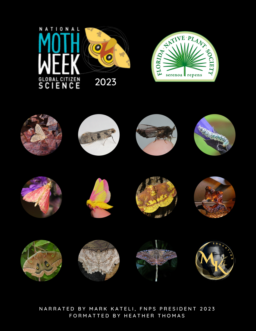 National Moth Week 2023 Booklet